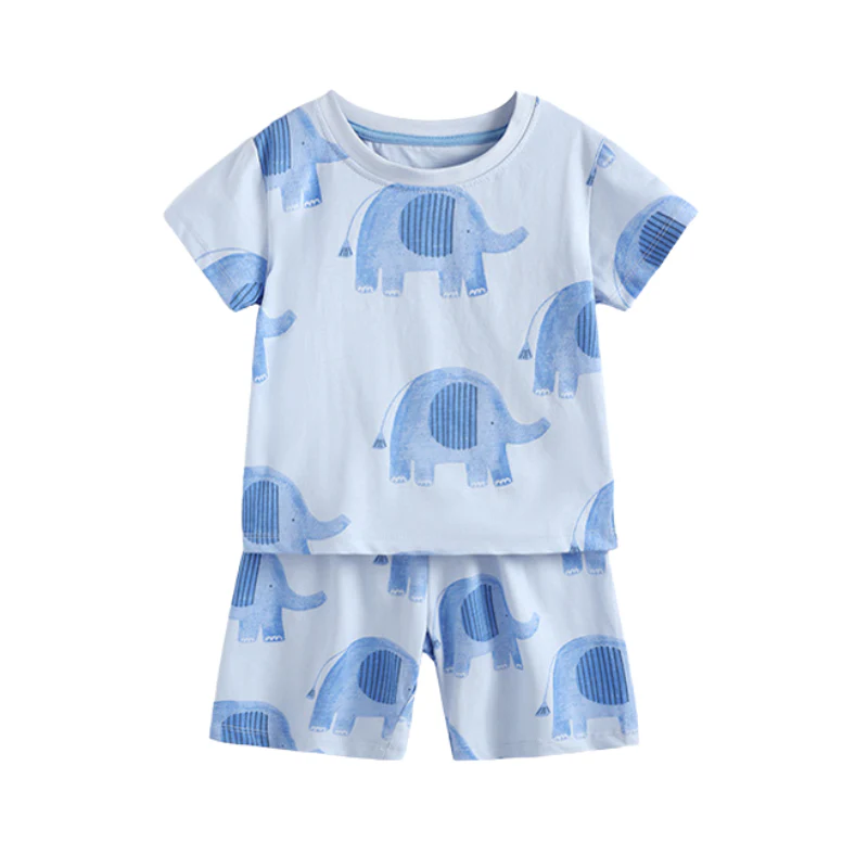 Roman – Olifanten Zomerset