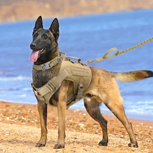 Tactics K9 borsttuig vest.