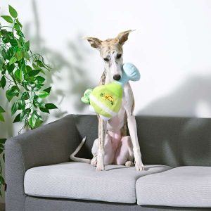 Margarita - Hugsmart