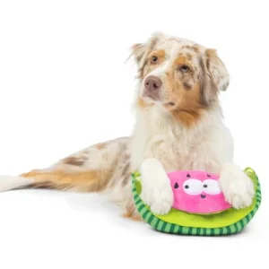 Watermelon - Huxely & Kent