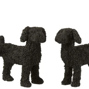 Zwart Labradoodle Beeld  – 2 Varianten