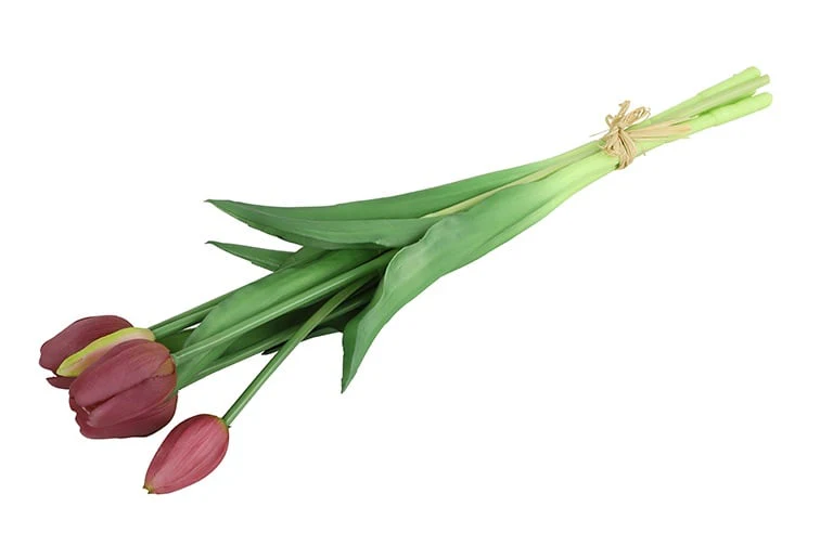 Styling Set Zwarte Glazen Vaas met Paarse Tulpen β Klassiek & Parkiet β 41 cm β Countryfield - Afbeelding 5
