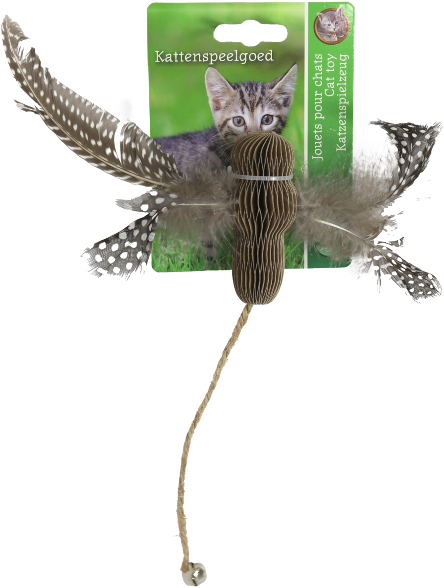 Libelle Karton met Veren Touw en Bel