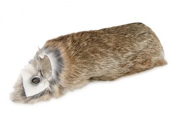 Konijnen Cover Dummy 250 Gram