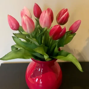 Styling Set Fuchsia Vaas JOLIE met Roze Tulpen – Colmore × Countryfield