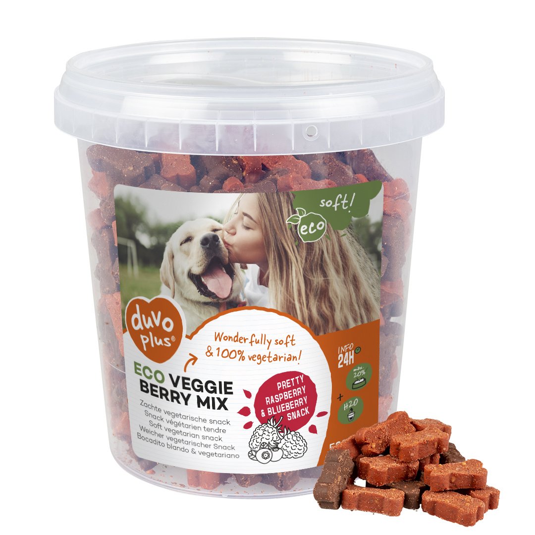 Veggie Berry Mix – 500 Gram